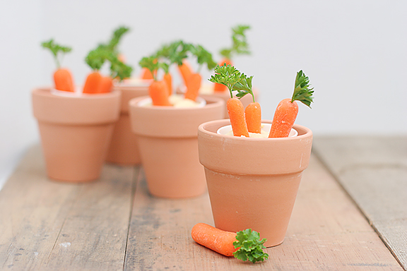 Carrot Patches