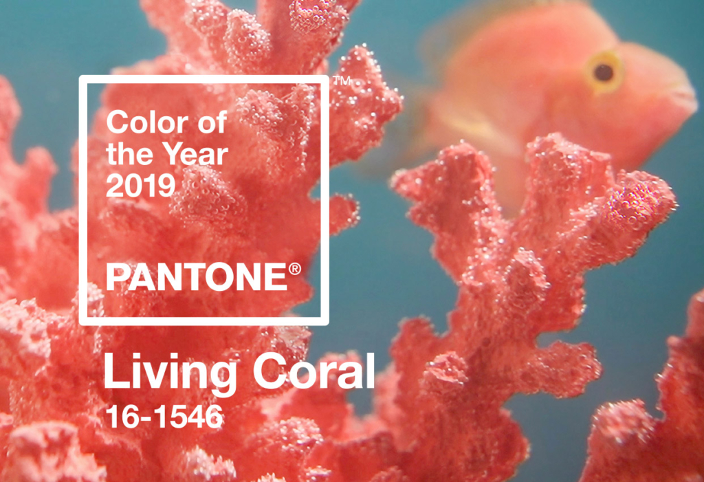 pantone color of the year 2019 living coral