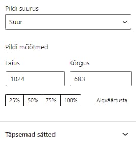 Pildi suuruse valikud pildiploki seadetes